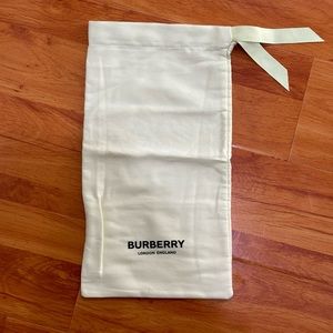 Burberry dust cover bag